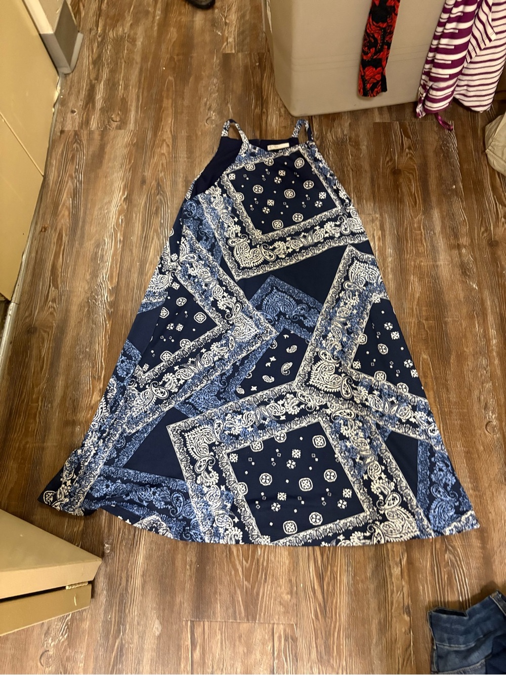 Blue Bandana-Print A-Line Maxi Skirt